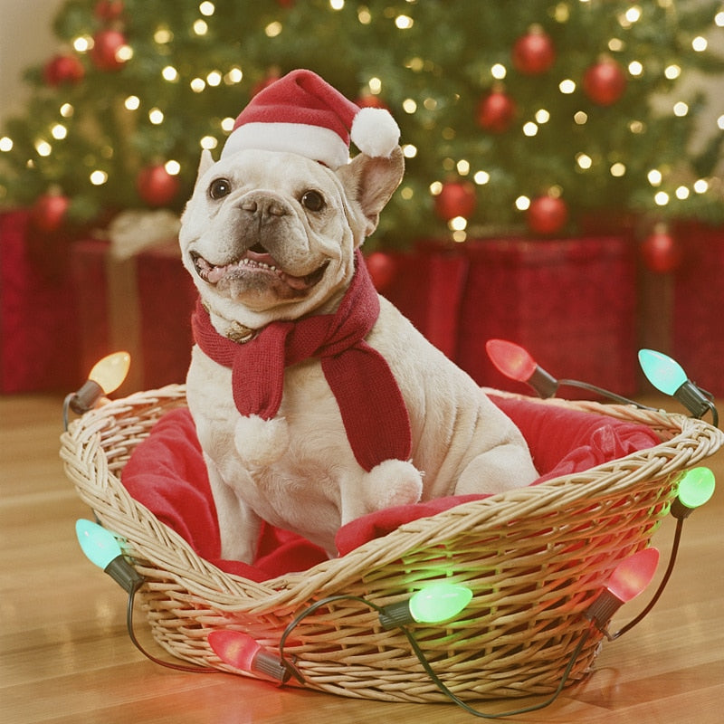 Gorro navideño para mascotas