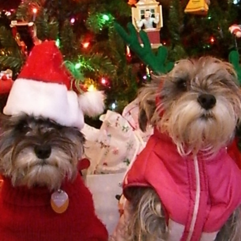 Gorro navideño para mascotas